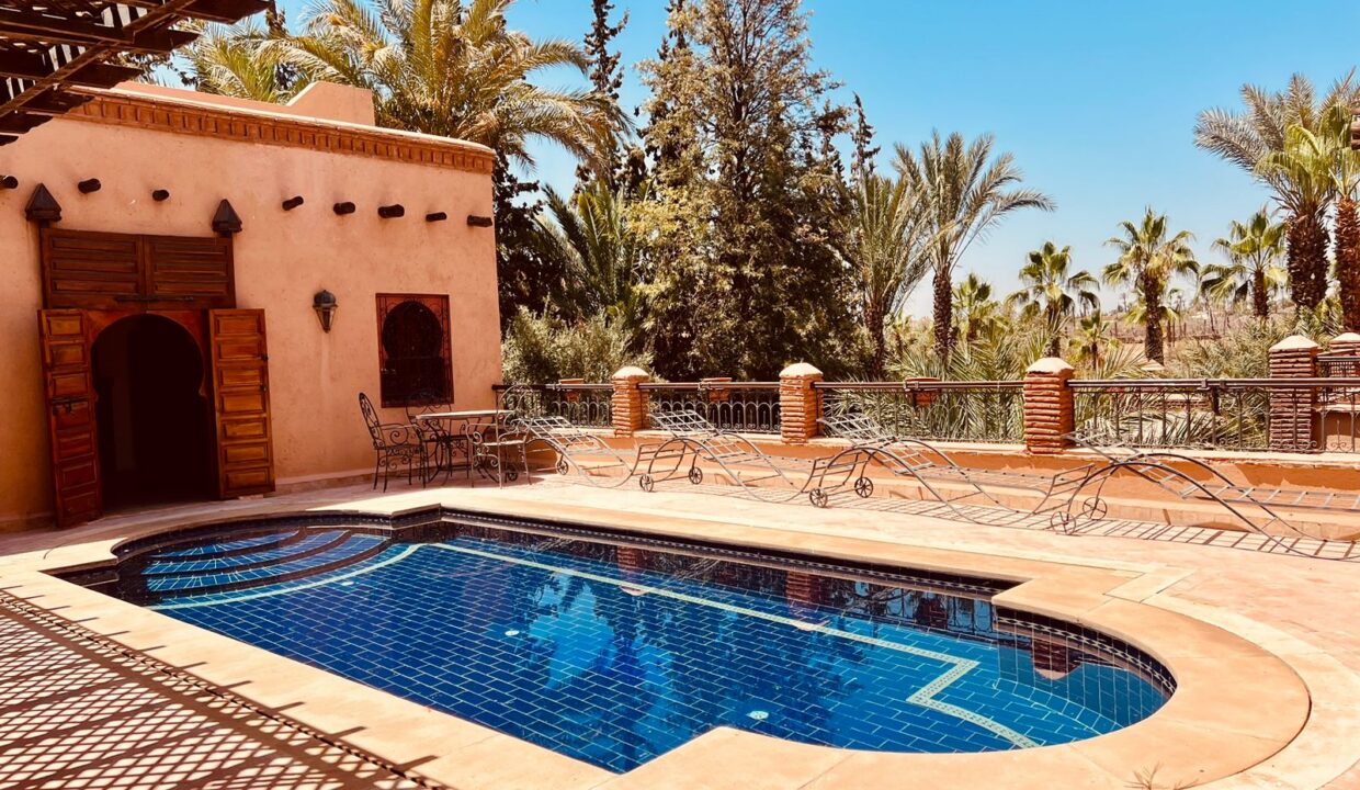 WhatsApp Image 2025-12-10 at 03.33.29