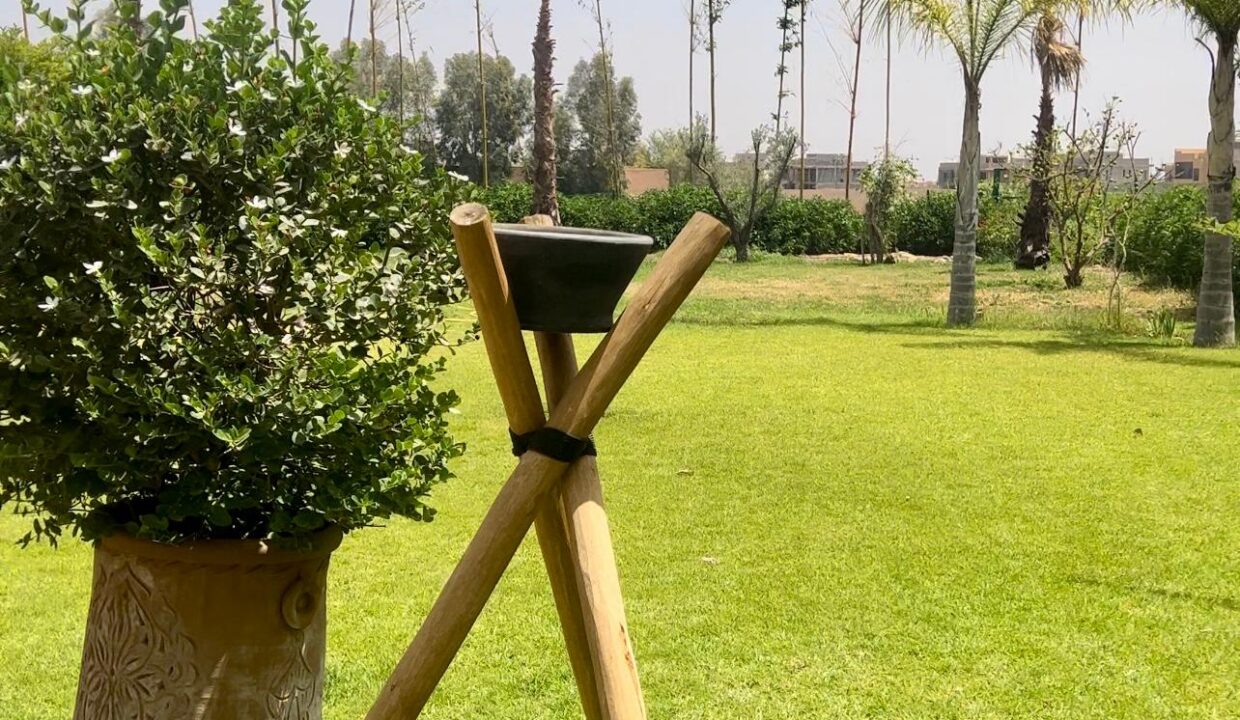 WhatsApp Image 2025-12-10 at 03.39.37