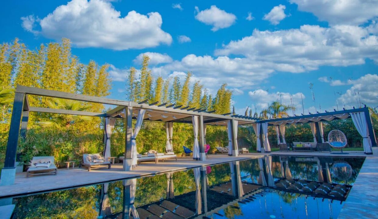 WhatsApp Image 2025-12-10 at 03.41.07