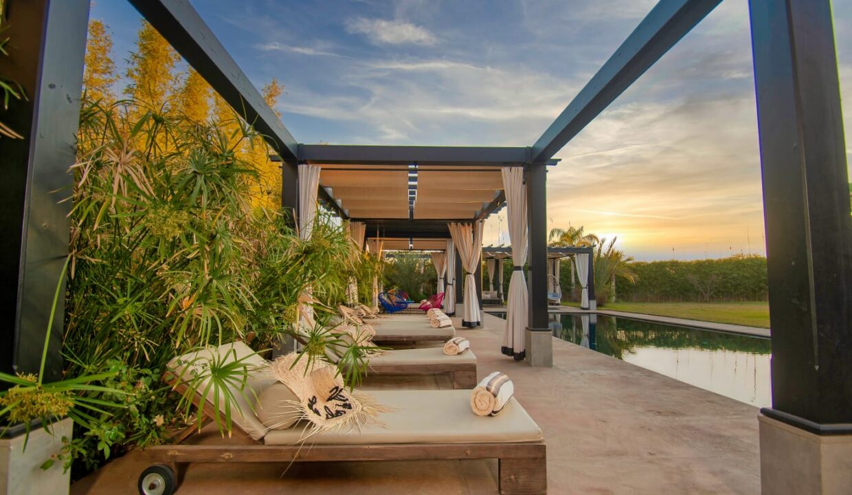 WhatsApp Image 2025-12-10 at 03.41.12 (3)