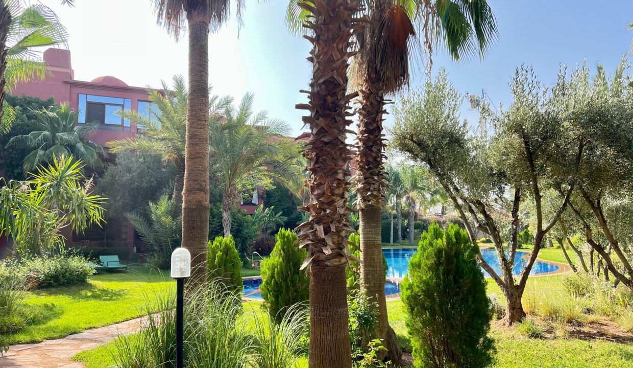 WhatsApp Image 2025-12-10 at 04.10.39 (3)