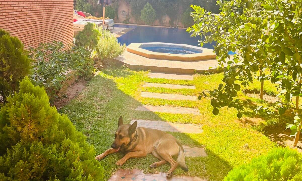 WhatsApp Image 2025-12-10 at 04.11.29